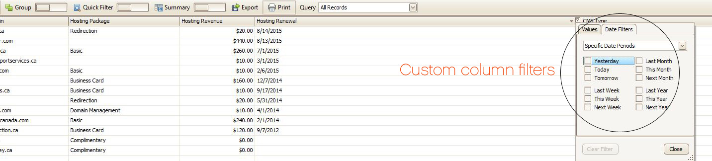 Custom Column Filters for easy data mining