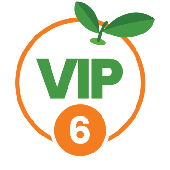 new-vip-6